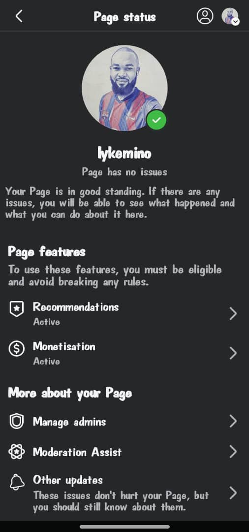 Asset preview background