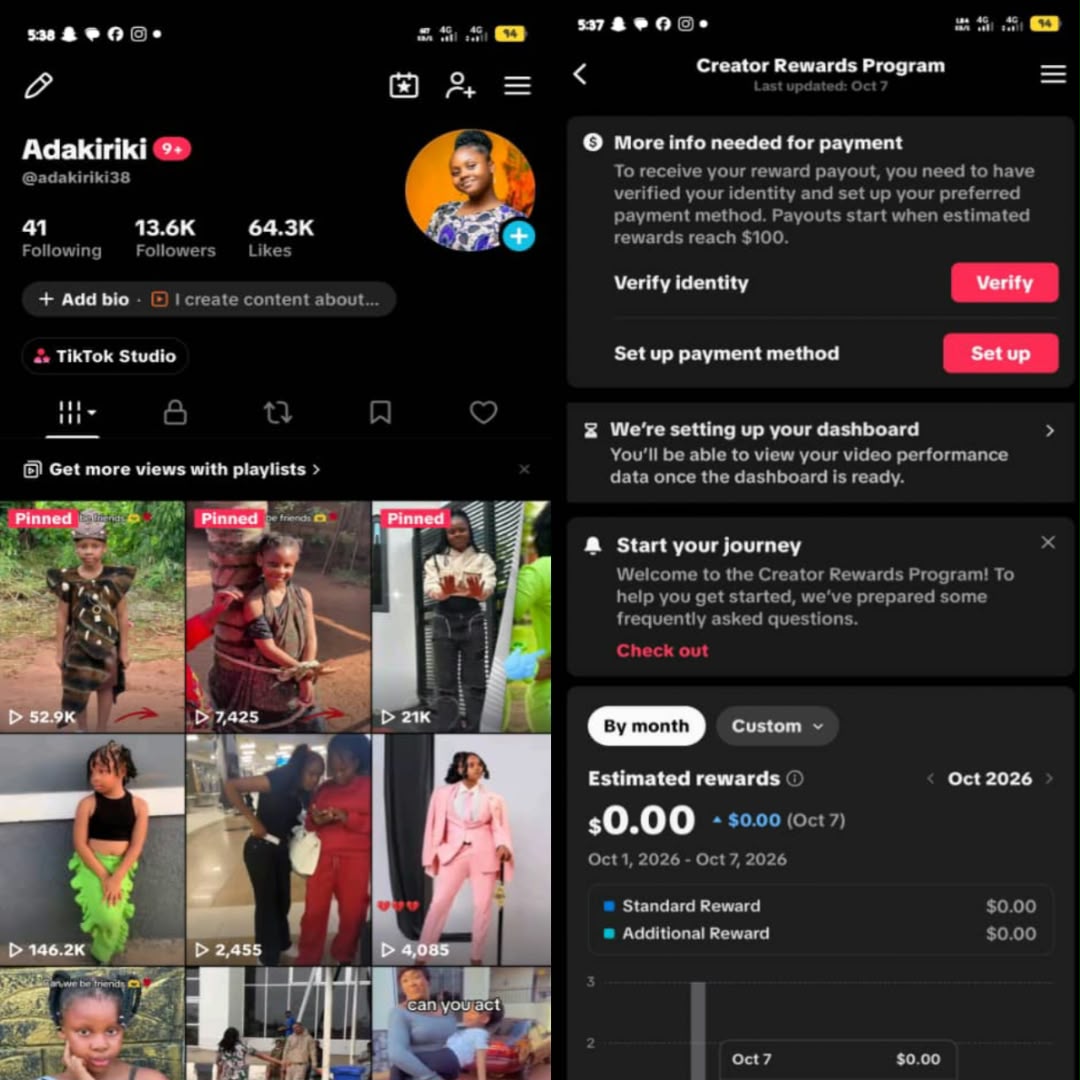 13.6k Monetized UK TikTok – Nigeria Celebrity Niche